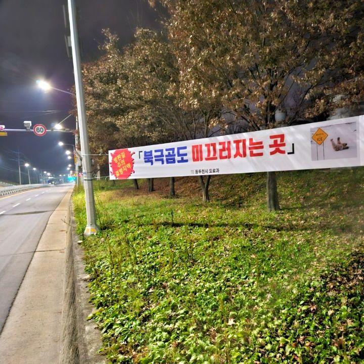 어제 내린 비가 얼어?❄️ 도로 살얼음이 예상됩니다.  터널 앞, 교량 인근, 그늘진 곳은 위험하오니 감속 등 안전 운전하세요???  #동두천 #도로 #살얼음 #빙판길  #북극곰 #미끄러지는곳 #감속 #안전운전