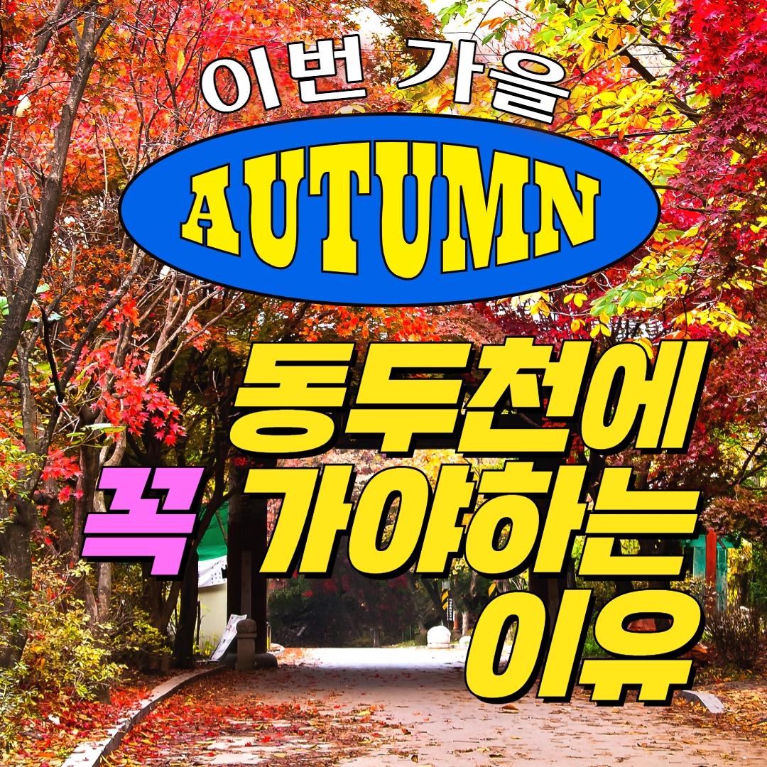 이번 가을? 
동두천에 꼭 가야 하는 이유

✅소요산 ; 경기 동두천시 평화로 2910번길 406-33
?단풍이 아름다운 시기 : 10월 말 ~ 11월 초

✅놀자숲 ; 경기도 동두천시 탑동가산로1
?국내 최대규모 숲 테마파트
☎문의 031-866-5560
?자세한 내용은 아래에서 확인하세요???
https://www.ddc.go.kr/tour/contents.do?key=580

✅별앤숲테마파크 ; 경기 동두천시 상봉암동 15
☎문의 031-860-3232,3234
?자세한 내용은 아래에서 확인하세요???
https://www.ddc.go.kr/tour/contents.do?key=582

?한미우호의 날 & 캠프보산맥주축제
?9월 23일 토요일 
?동두천 보산동 한미우호의 광장

#동두천 #가을 #소요산 #놀자숲 #별앤숲
#한미우호의날 #캠프보산 #맥주축제