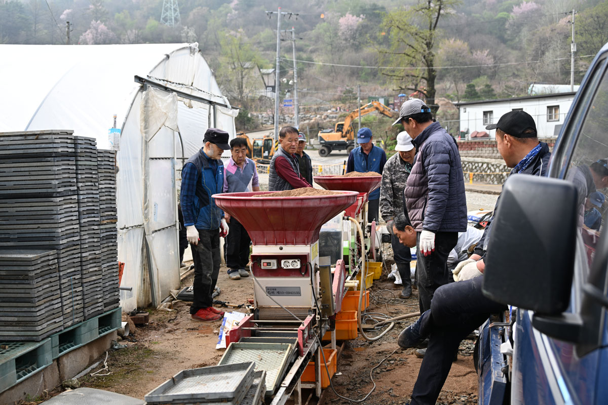 관내 못자리 방문 이미지