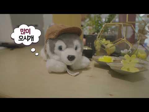 [현장출동! 동두천시 시민 명예기자단] 두드림 마켓&북카페