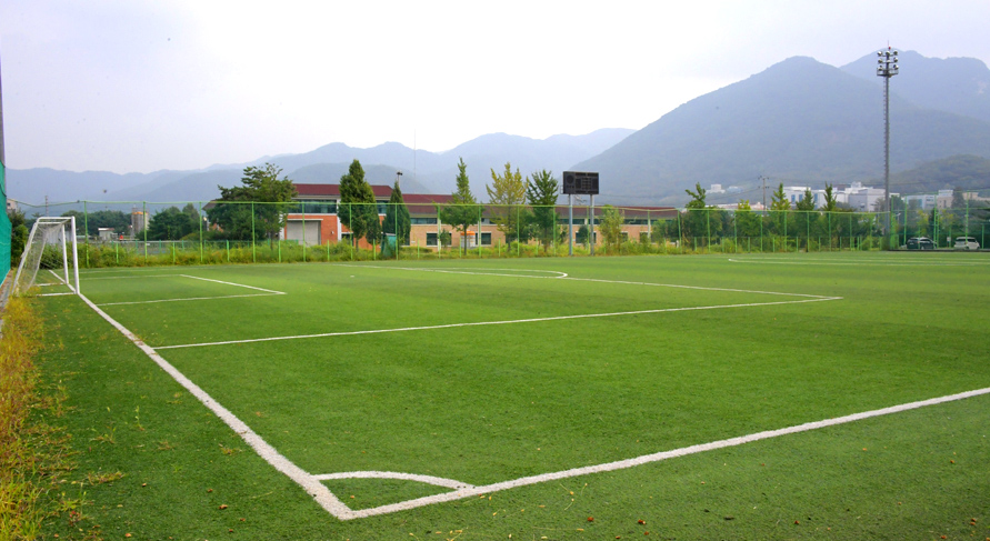 축구장 전경 사진1