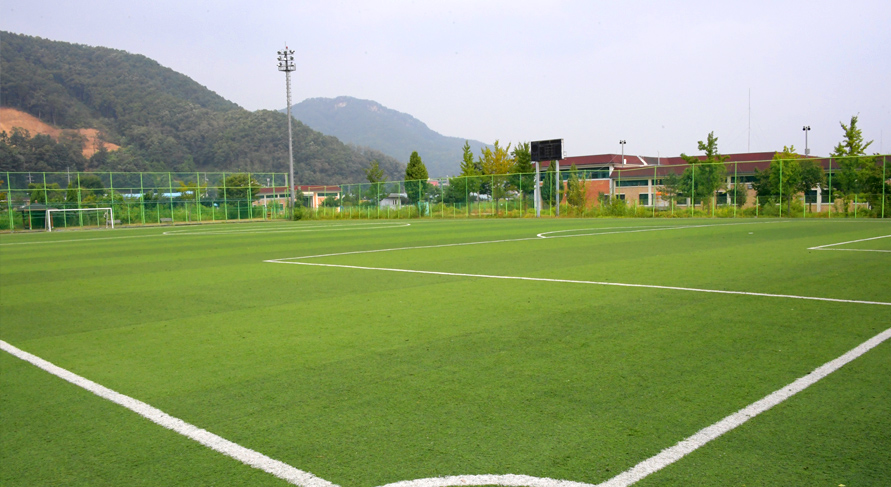 축구장 전경 사진3