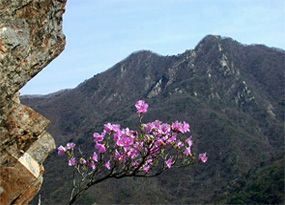 Mt.Soyo image 1