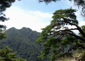 Mt.Soyo image 12