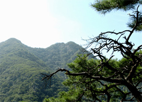 Mt.Soyo image 6